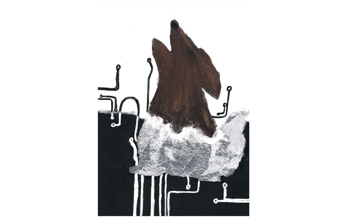 AK 2 (3) Nayla (10): „Transformation“, eingereicht bei der Volksbank eG Oldenburg-Land Delmenhorst