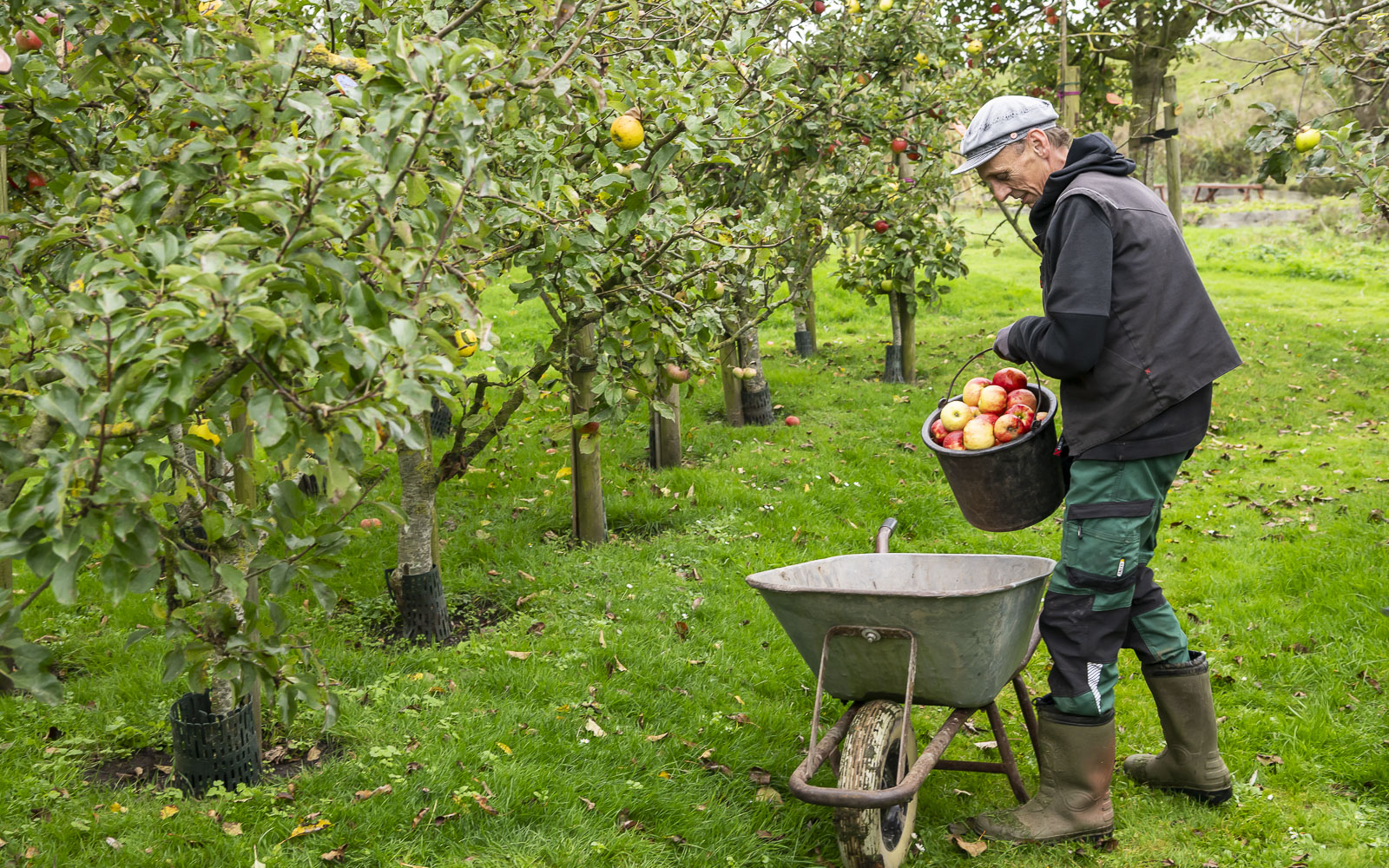 Kontostand trifft Klimabilanz