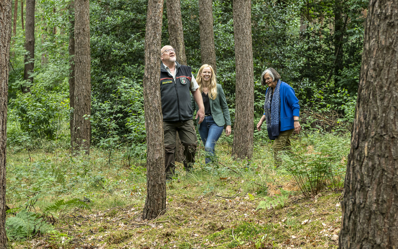 Zurück zu den Wurzeln